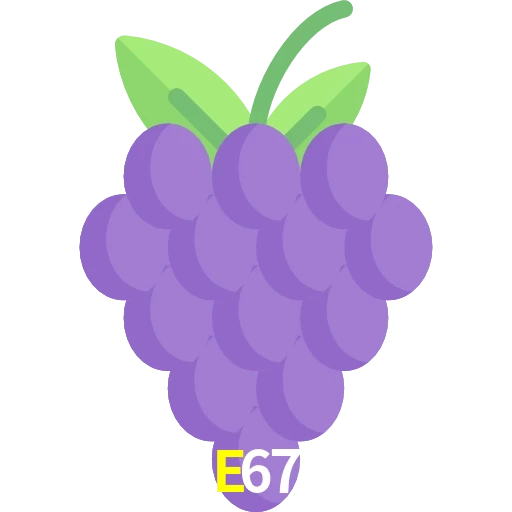 E67